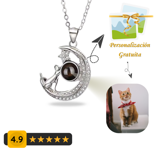 Collar de proyección personalizado