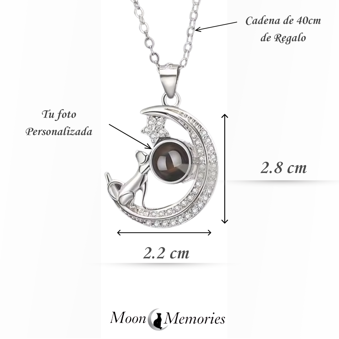 Collar de proyección personalizado