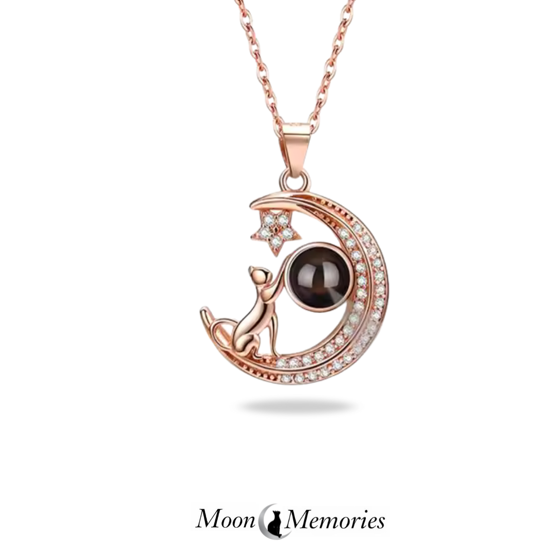 Collar de proyección personalizado